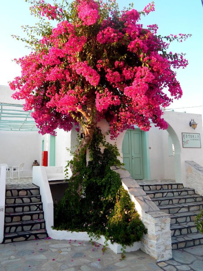 Astoria Paros Appartement Náousa Buitenkant foto