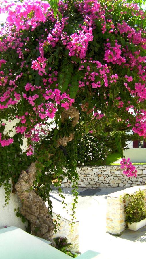 Astoria Paros Appartement Náousa Buitenkant foto